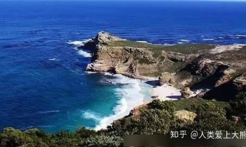 需要注意什么?-半边莲的主治功效与作用专区_具体用法和需要注意的禁忌是什么?专区_半边莲的主治网