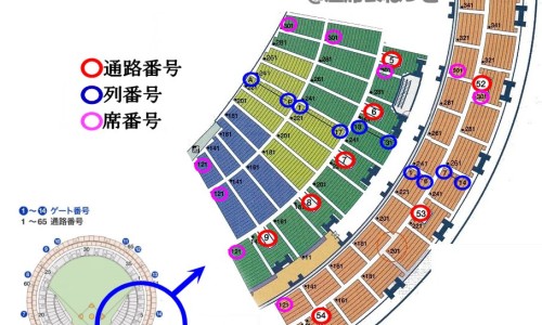 需要注意什么?-半边莲的主治功效与作用专区_具体用法和需要注意的禁忌是什么?专区_半边莲的主治网